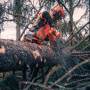 Бензопила Husqvarna 585