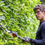 Ножницы Husqvarna 520iHE3