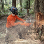 Бензопила Husqvarna 585