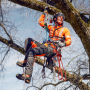 Мотузка альпіністська Climbing; 11,5мм, 45м, блакитна