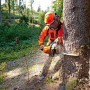 Бензопила STIHL MS 363