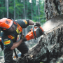 Бензопила Husqvarna 565 Husqvarna (9667339-18)