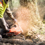 Бензопила Husqvarna 565 Husqvarna (9667339-18)