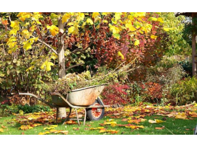 Осенняя уборка в саду: как правильно подготовить участок к зиме