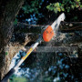 Высоторез Stihl HT 131, Штиль (41822000092) Stihl (41822000092)
